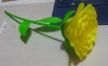 Yellow flower(1).jpg