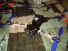 DSC04768.jpg