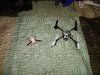 DSC04769.jpg
