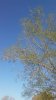 20170401_092402a.jpg