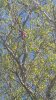 20170401_092800a.jpg