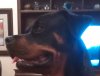 upload_2018-1-11_14-25-12.jpeg