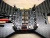 eagle 027.JPG