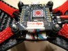 eagle 041.JPG