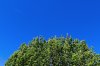 BlueSky.jpg