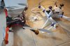 DSC02040_reduced.jpg