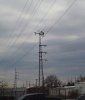 20190328_132256-1.jpg