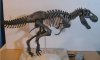 T-Rex(3).jpg