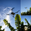 EFT Z50P  Spraying.png